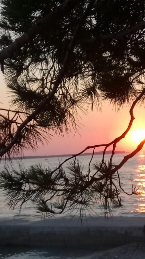 Annamaria * Pula